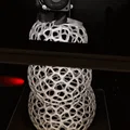 Người tuyết Voronoi - Thumbnail 3