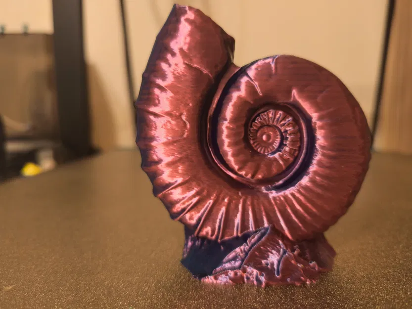 Ammonites (Hóa thạch ammonite) - Image 1