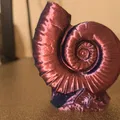 Ammonites (Hóa thạch ammonite) - Thumbnail 1