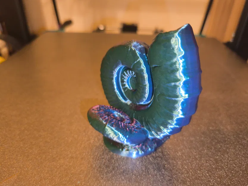 Ammonites (Hóa thạch ammonite) - Image 2