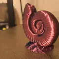 Ammonites (Hóa thạch ammonite) - Thumbnail 3
