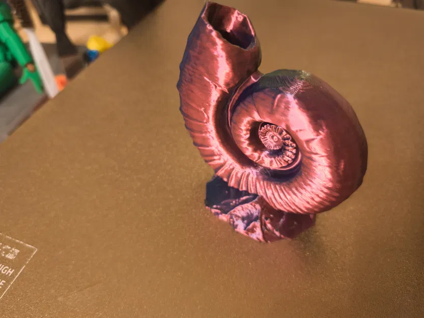 Ammonites (Hóa thạch ammonite) - Image 4