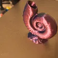 Ammonites (Hóa thạch ammonite) - Thumbnail 4