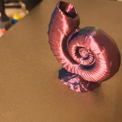 Ammonites (Hóa thạch ammonite)