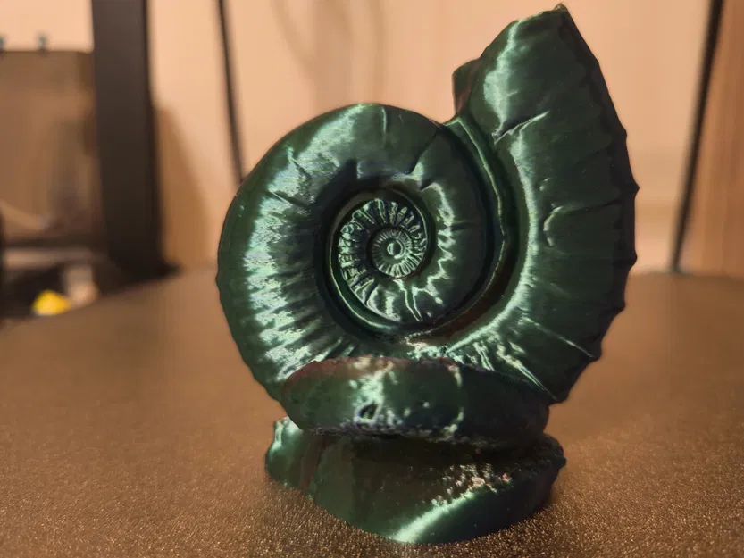 Ammonites (Hóa thạch ammonite) - Image 6