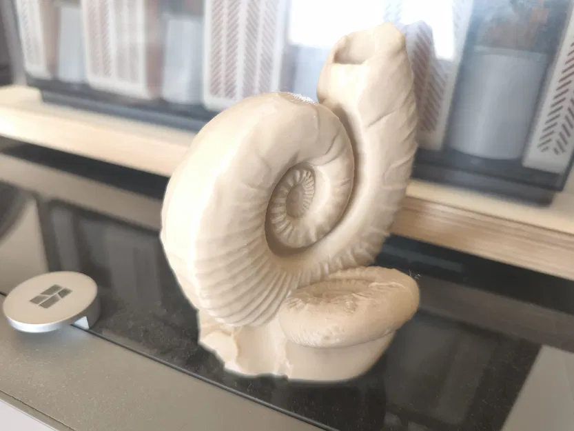 Ammonites (Hóa thạch ammonite) - Image 8