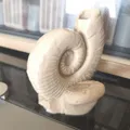 Ammonites (Hóa thạch ammonite) - Thumbnail 8