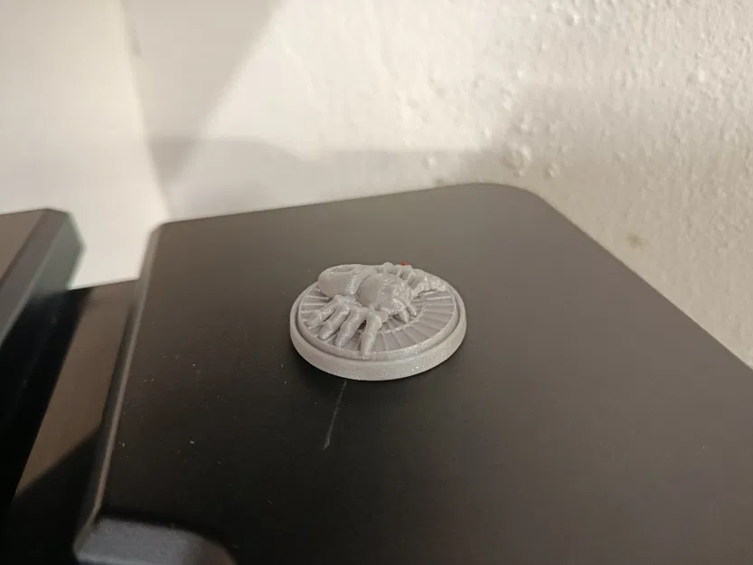 Spider crash - Image 2