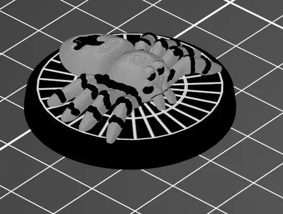 Spider crash - Image 7