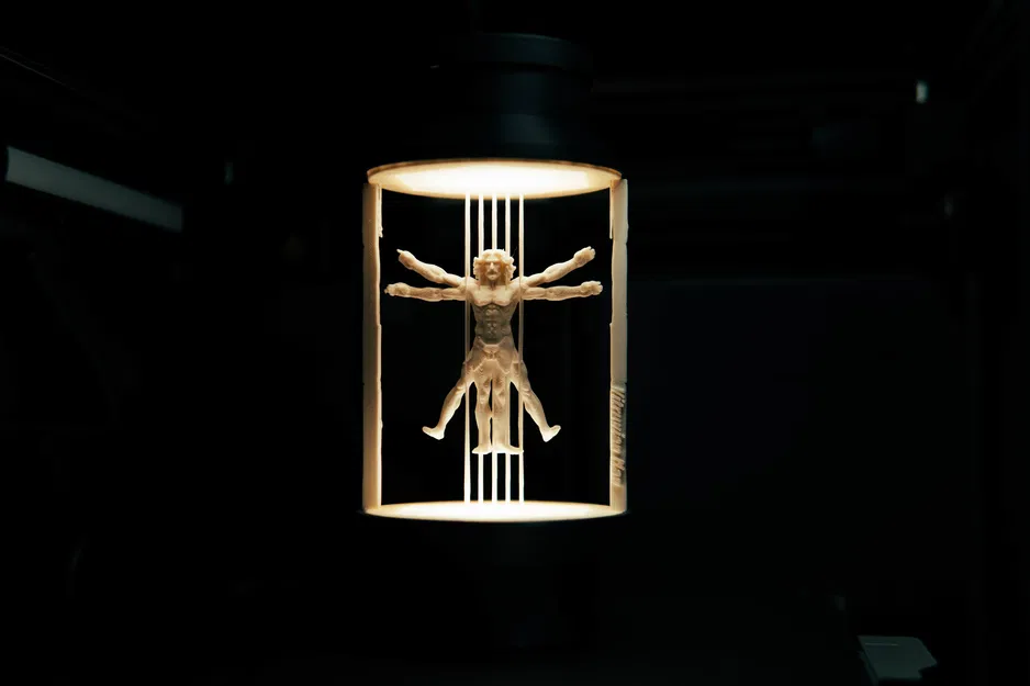Vitruvian Man - Đèn treo (Suspended Lamp) - Image 2