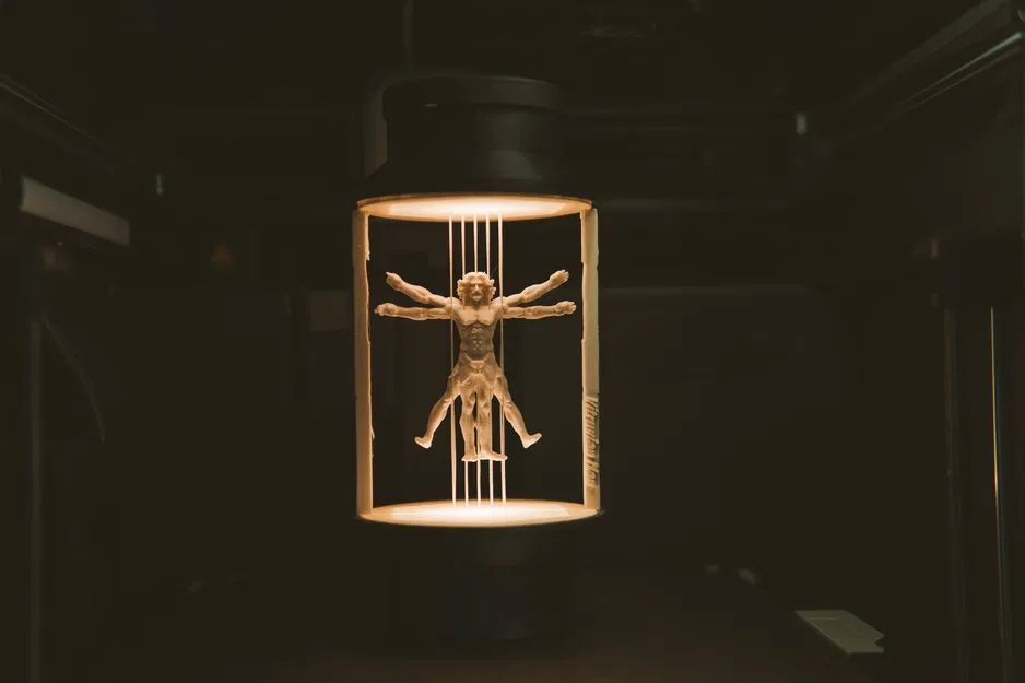 Vitruvian Man - Đèn treo (Suspended Lamp) - Image 7