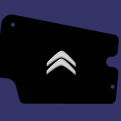 Citroen Spacetourer - Nắp che Dom LH