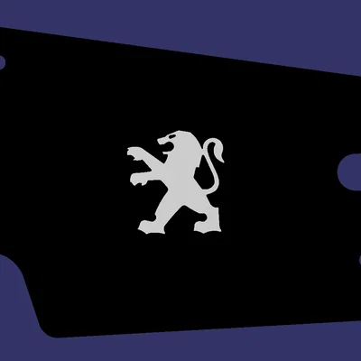 Citroen Spacetourer - Nắp che Dom LH