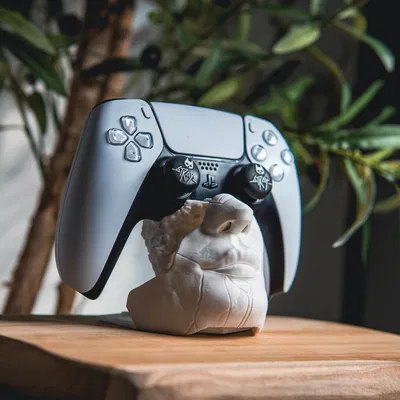 Giá đỡ tay cầm PS5 Mặt nạ Alicia (Alicias Mask PS5 Controller Mount)