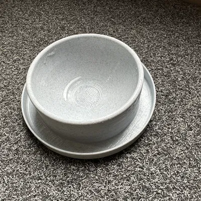 Dĩa thức ăn cho mèo (có rãnh chống kiến - anti-ant moat)