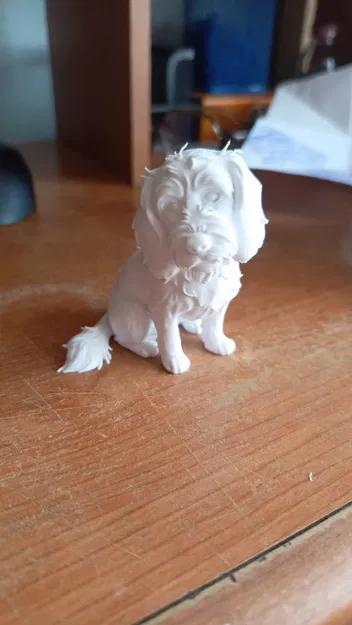 Chó ngồi (Sitted dog) - Image 1