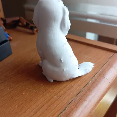 Chó ngồi (Sitted dog)