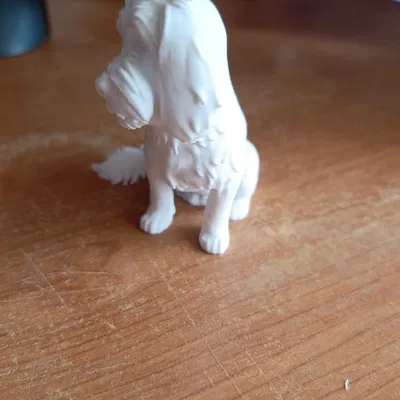 Chó ngồi (Sitted dog)