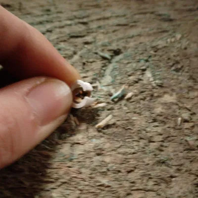 Screw stop (chặn hành trình ốc vít)