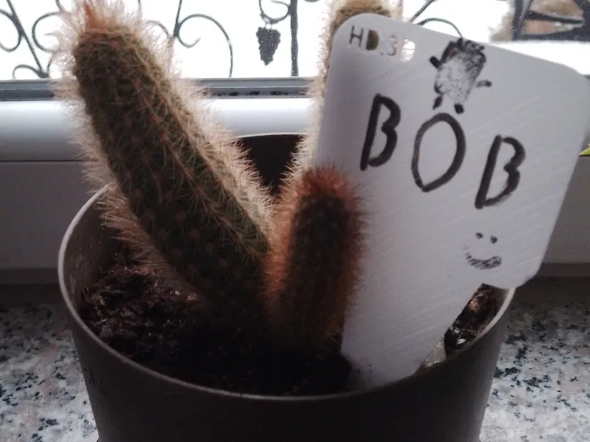 Bảng ghi tên cây (a board for naming plants) - Image 3