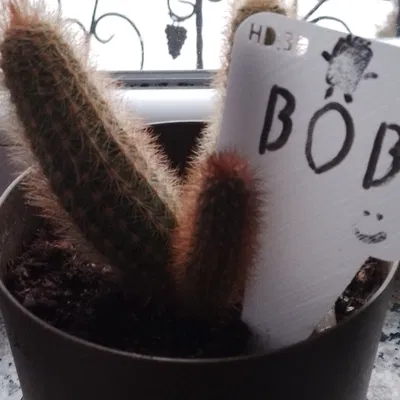 Bảng ghi tên cây (a board for naming plants)