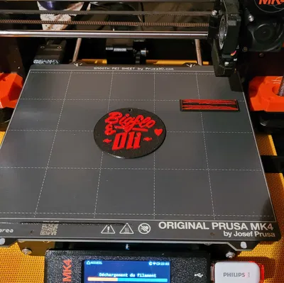 Médaillon Bigflo et Oli