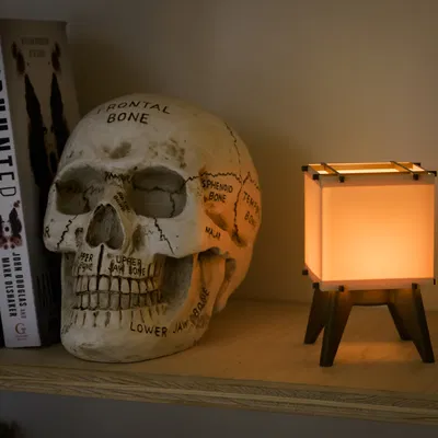 Đèn Giấy Mini (Giá Đỡ Nến Tealight)