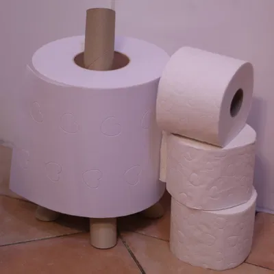 Thùng đựng lõi giấy vệ sinh (Toilet Paper Roll Bin)