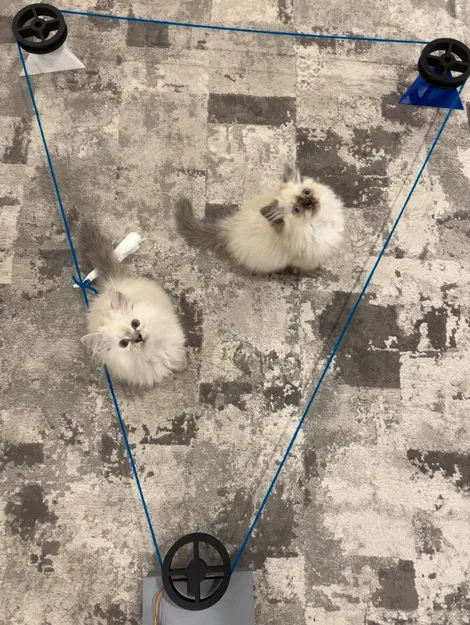 Đồ chơi rượt đuổi chạy pulley điều khiển từ xa cho thú cưng - Image 1