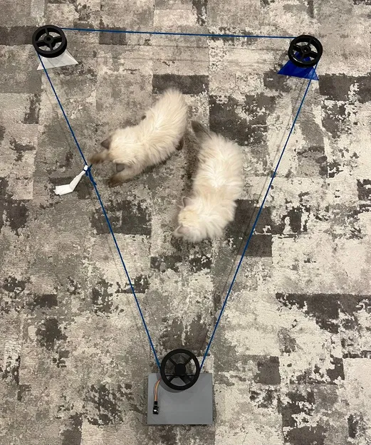 Đồ chơi rượt đuổi chạy pulley điều khiển từ xa cho thú cưng - Image 3