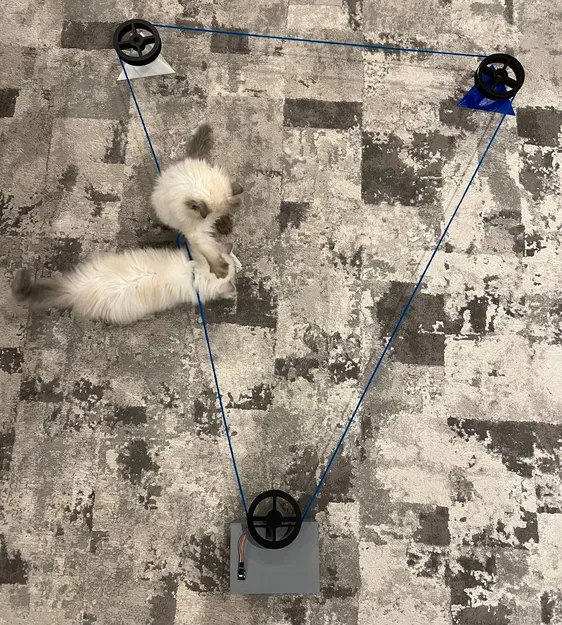 Đồ chơi rượt đuổi chạy pulley điều khiển từ xa cho thú cưng - Image 5