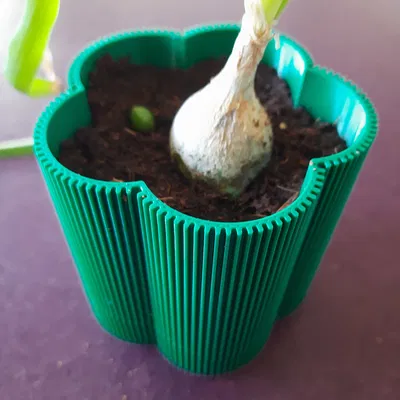 "Florio" - Chậu cây tự tưới, có thoát nước, không supports, parametric, nhiều size