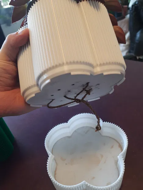 "Florio" - Chậu cây tự tưới, có thoát nước, không supports, parametric, nhiều size - Image 4