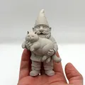 Gnome với Mèo Ú Na (Gnome with Chonky Cat) - Thumbnail 1