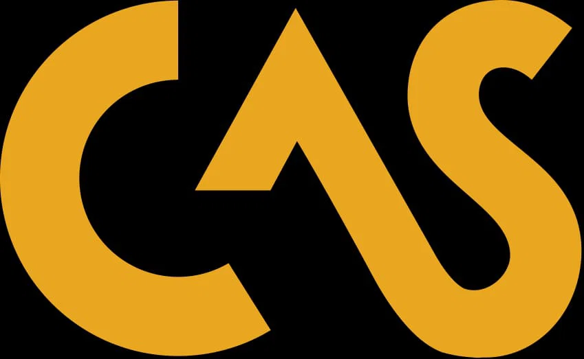 Khuôn socola CAS (CAS Çikolata kalıbı) - Image 1