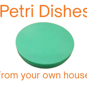 Petri dish 120mm bản cải tiến