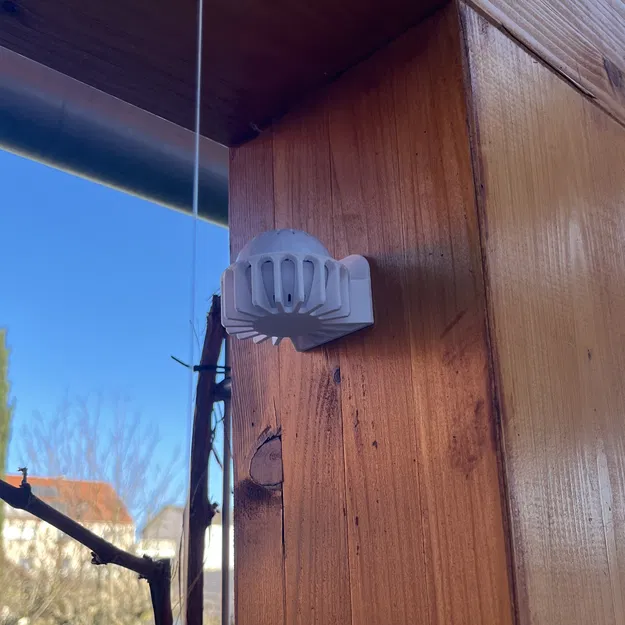 Halter cho Shelly H&T - Image 2