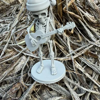 Bộ Xương Mùa Đông Cầm Guitar Trên Giá Đỡ