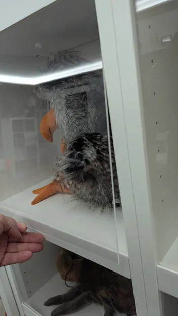 Ikea Billy Showcase – Biến kệ Billy thành tủ trưng bày - Image 3