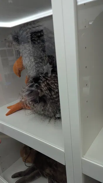 Ikea Billy Showcase – Biến kệ Billy thành tủ trưng bày - Image 4