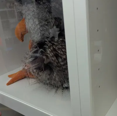 Ikea Billy Showcase – Biến kệ Billy thành tủ trưng bày