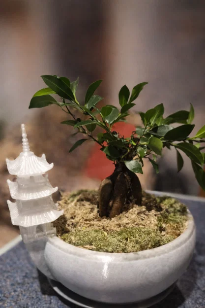 Chậu Bonsai Dạng Tô Kèm Tháp Pagoda (Khuyến nghị dùng Tree Support) - Image 4