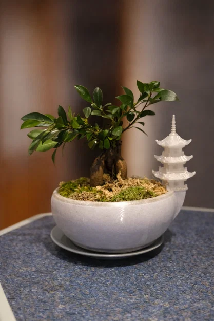 Chậu Bonsai Dạng Tô Kèm Tháp Pagoda (Khuyến nghị dùng Tree Support) - Image 5