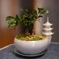 Chậu Bonsai Dạng Tô Kèm Tháp Pagoda (Khuyến nghị dùng Tree Support) - Thumbnail 5