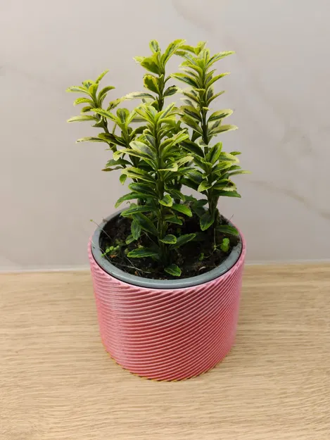 Chậu cây Planter - Image 1