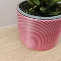 Chậu cây Planter - Thumbnail 2