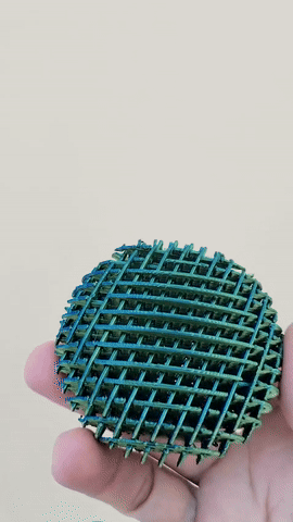 Fidget oval Worm (giun fidget hình oval) - Image 1