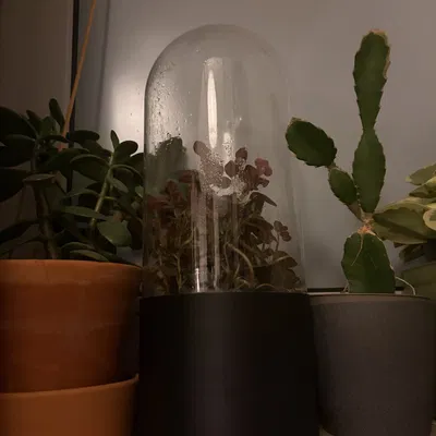 Đế Ikea BEGÅVNING / SKÖNJA (Base)