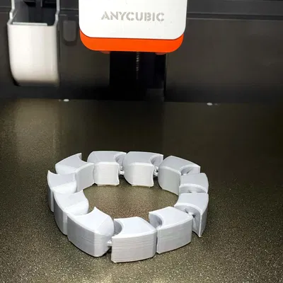 Nhẫn fidget khớp nối (Articulated fidget ring)