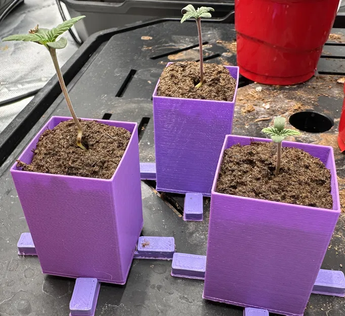 Chậu Rapid Rooter - In Vase Mode Nhanh - Image 1